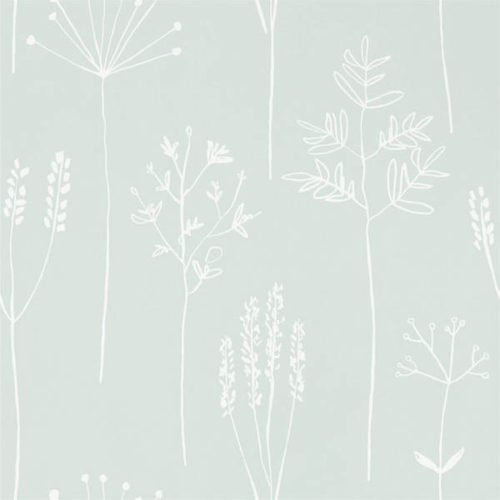 Stipa 112020